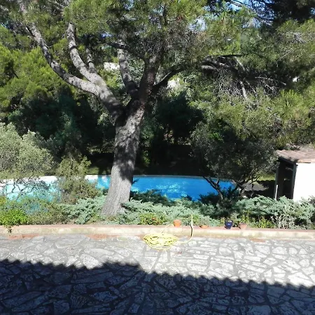 D'hote Saint Remy