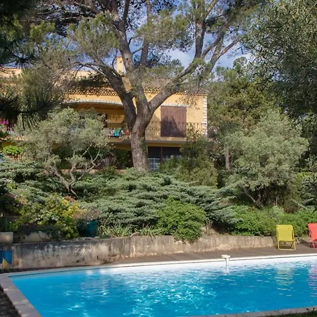D'hote Saint Remy